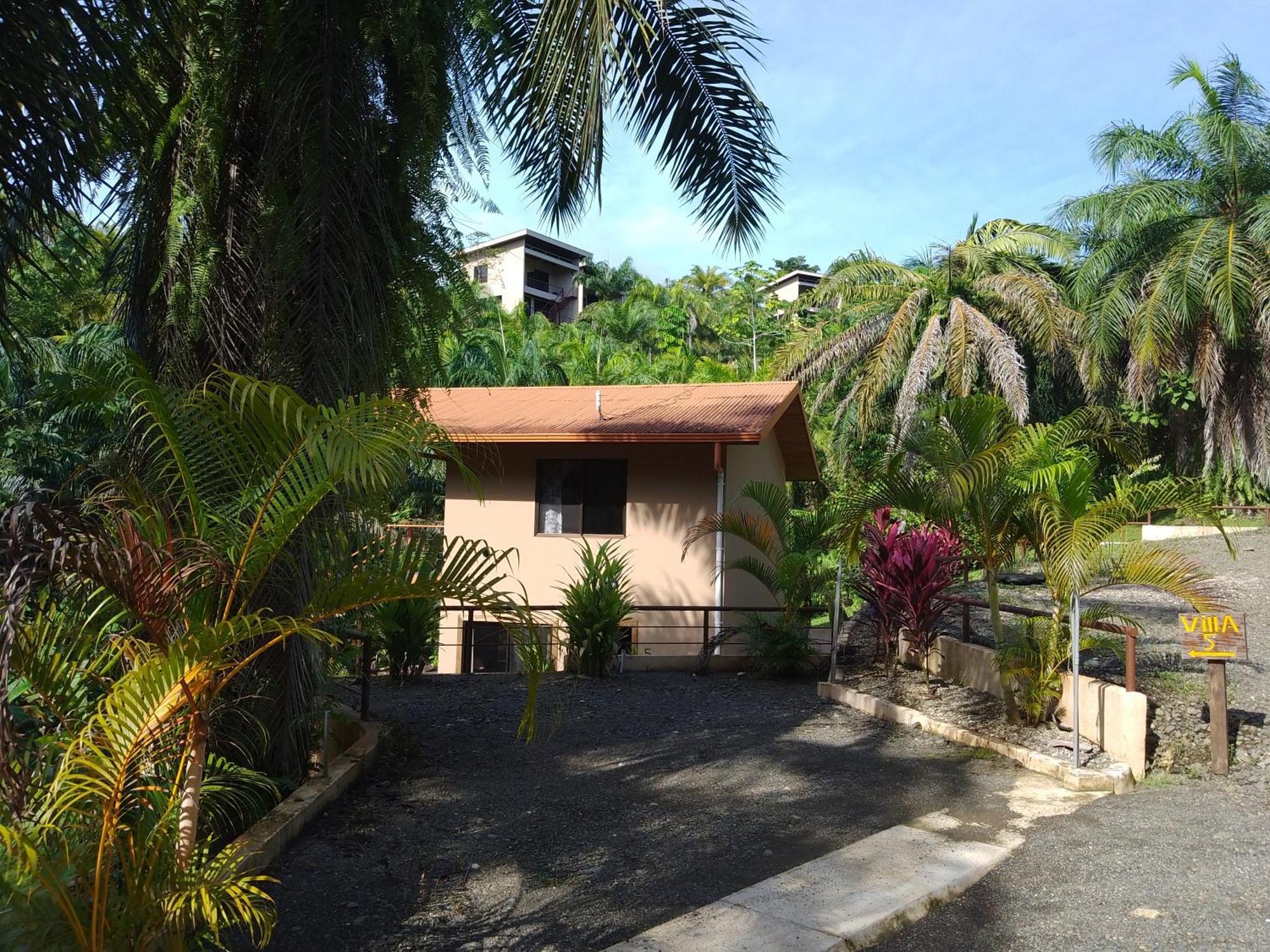 Osa Private Renting House-Villas-Tented-Best Views-Nature-Comfort Puerto Jimenez Exterior photo