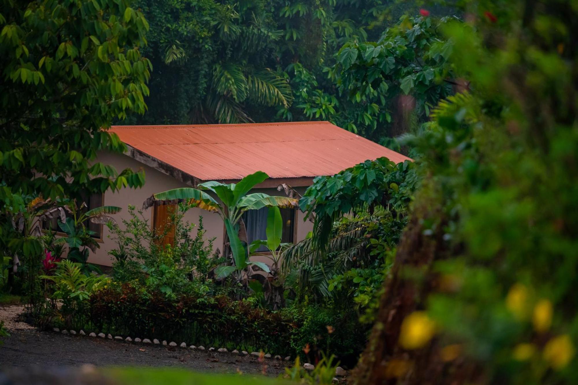 Osa Private Renting House-Villas-Tented-Best Views-Nature-Comfort Puerto Jimenez Exterior photo